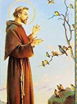 The Saint Francis of Assisi Prayer is popular amongst Christians. Saint Francis shown in this image. 